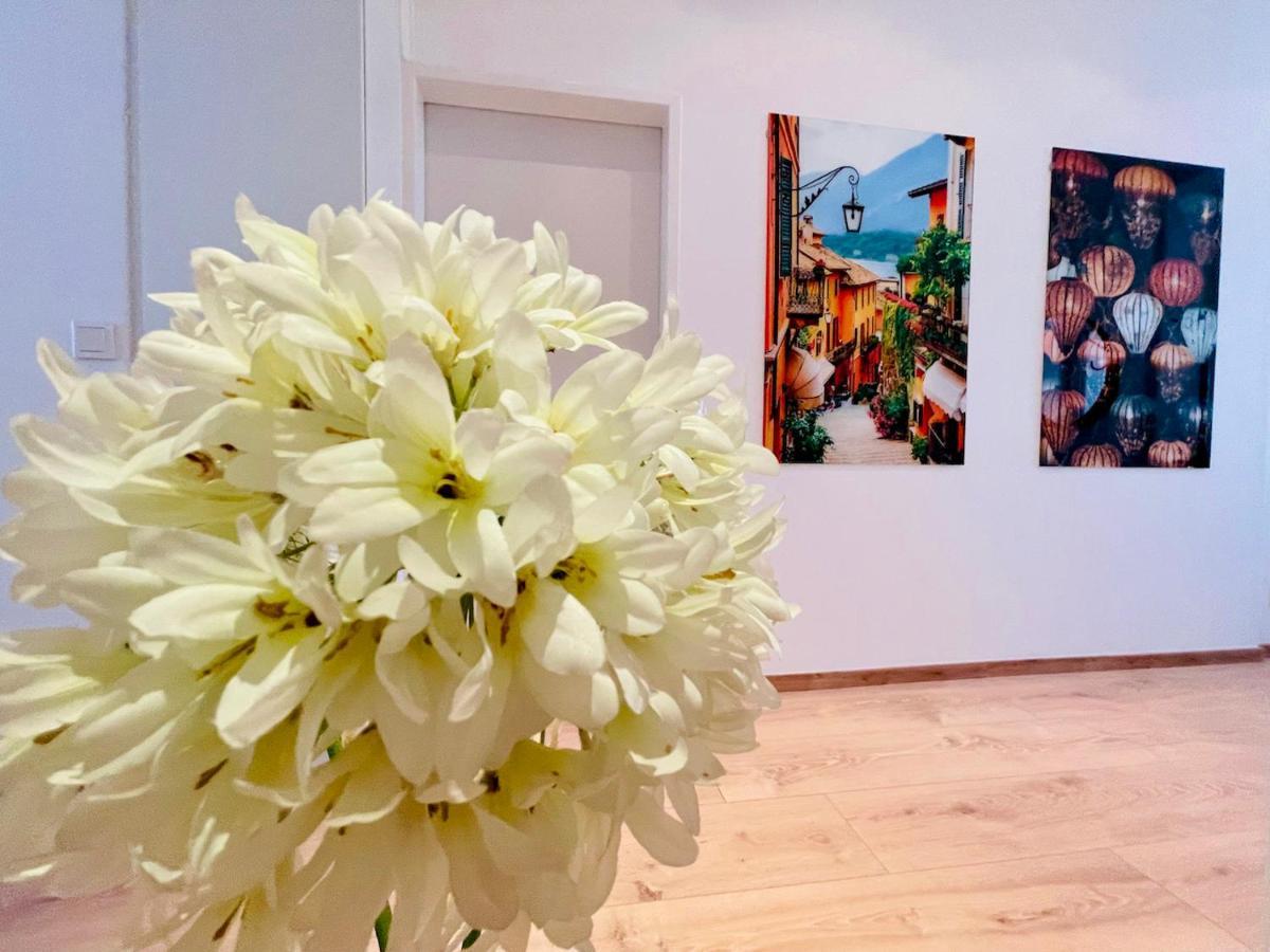Colorful & Quiet Apartment In Beautiful Viennese Building エクステリア 写真